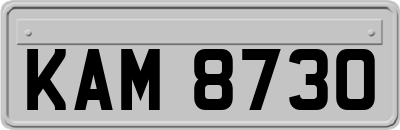 KAM8730