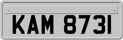 KAM8731