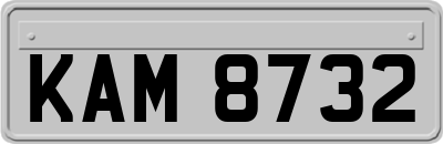 KAM8732