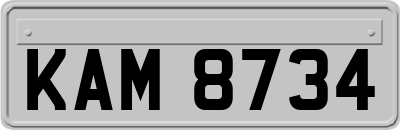 KAM8734