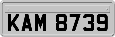 KAM8739