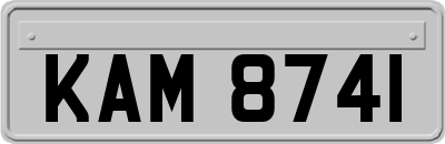 KAM8741