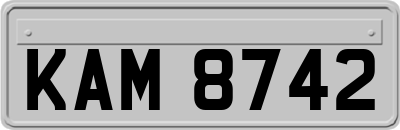 KAM8742