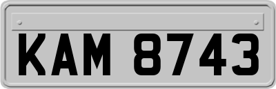 KAM8743