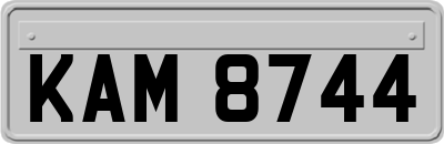 KAM8744