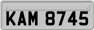 KAM8745