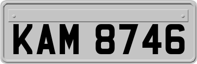 KAM8746