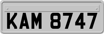 KAM8747