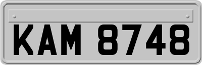 KAM8748