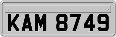 KAM8749