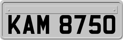 KAM8750