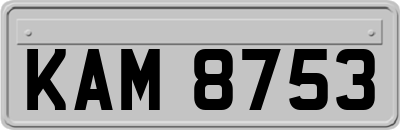 KAM8753