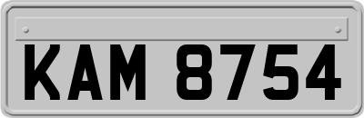 KAM8754