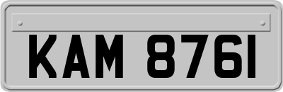 KAM8761