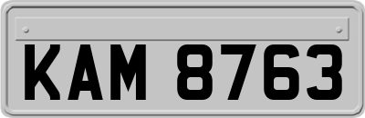 KAM8763