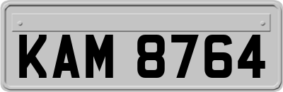 KAM8764