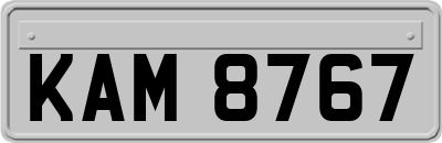 KAM8767