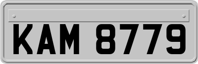 KAM8779