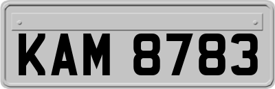 KAM8783