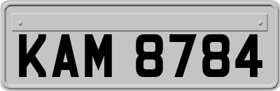 KAM8784