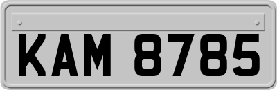 KAM8785
