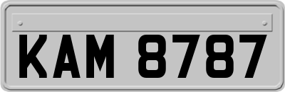 KAM8787