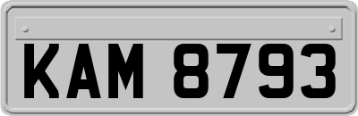 KAM8793
