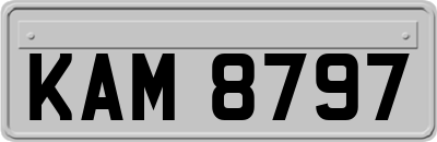 KAM8797
