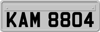 KAM8804