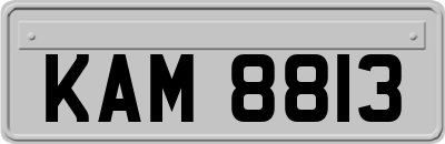 KAM8813