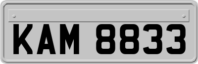 KAM8833