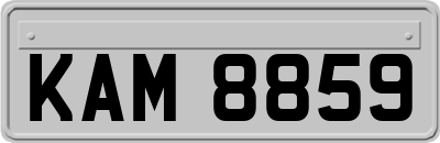 KAM8859