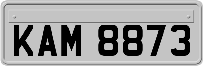 KAM8873