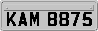 KAM8875