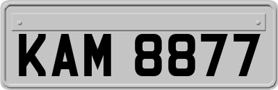 KAM8877