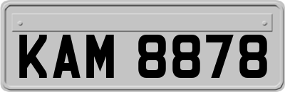 KAM8878