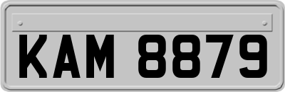 KAM8879