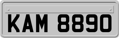 KAM8890