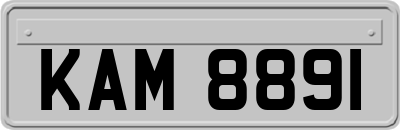 KAM8891