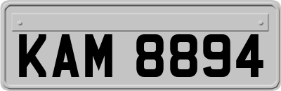 KAM8894