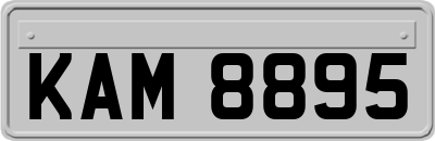KAM8895