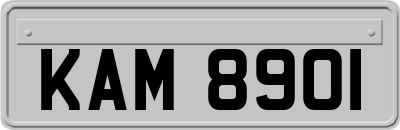 KAM8901