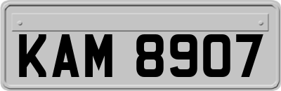 KAM8907