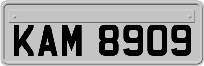 KAM8909