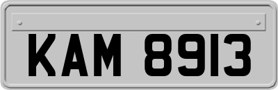 KAM8913