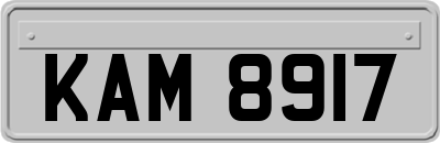 KAM8917
