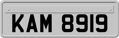 KAM8919