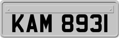 KAM8931