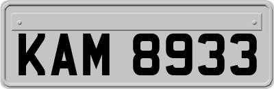 KAM8933