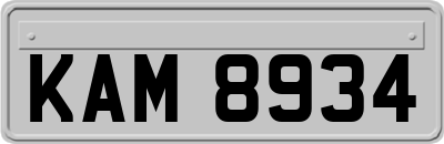 KAM8934